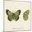 Papilio Edusa Fabr-A^ Poiteau-Mounted Giclee Print