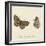 Papilio Euphrosyne Fabr-A^ Poiteau-Framed Giclee Print