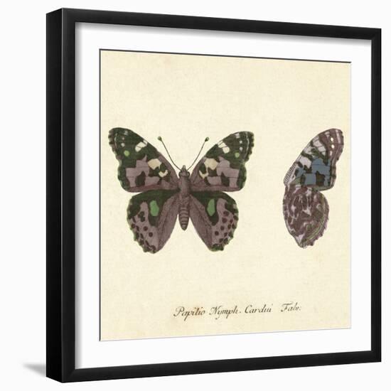 Papilio Nymph Cardui Fabr-A^ Poiteau-Framed Giclee Print