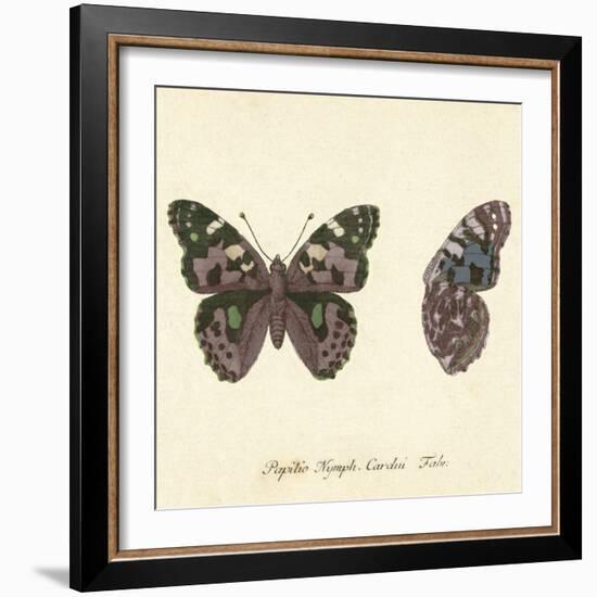 Papilio Nymph Cardui Fabr-A^ Poiteau-Framed Giclee Print