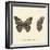 Papilio Nymph Cardui Fabr-A^ Poiteau-Framed Giclee Print