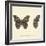 Papilio Nymph Cardui Fabr-A^ Poiteau-Framed Giclee Print