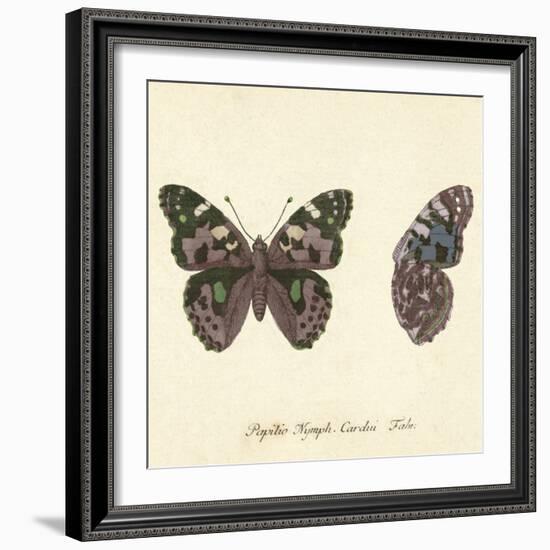 Papilio Nymph Cardui Fabr-A^ Poiteau-Framed Giclee Print