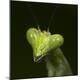 Premium Photographic Print