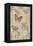 Papillion Decoratif II-Deborah Devellier-Framed Stretched Canvas