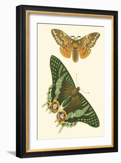 Papillion I-Vision Studio-Framed Art Print