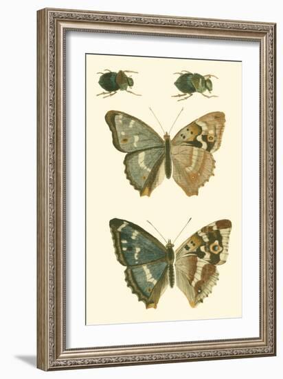 Papillion IV-Vision Studio-Framed Art Print