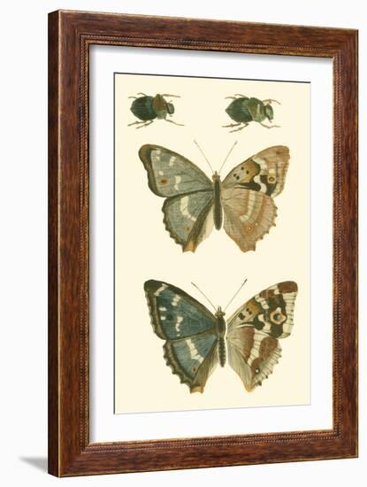 Papillion IV-Vision Studio-Framed Art Print