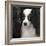 Papillion-Lori Hutchison-Framed Photographic Print