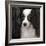 Papillion-Lori Hutchison-Framed Photographic Print