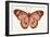 Papillon 3-Stellar Design Studio-Framed Art Print