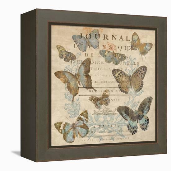 Papillon I-Deborah Devellier-Framed Stretched Canvas