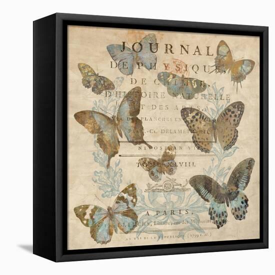 Papillon I-Deborah Devellier-Framed Stretched Canvas
