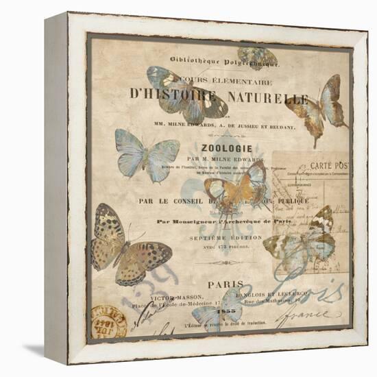 Papillon II-Deborah Devellier-Framed Stretched Canvas
