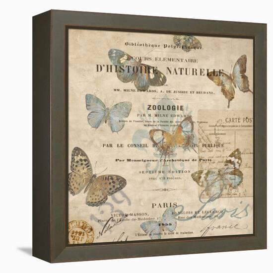 Papillon II-Deborah Devellier-Framed Stretched Canvas
