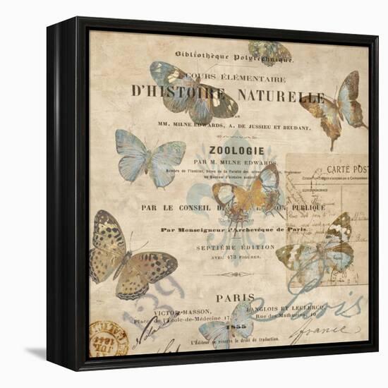 Papillon II-Deborah Devellier-Framed Stretched Canvas