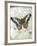 Papillon VI-Ken Hurd-Framed Giclee Print