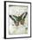 Papillon VI-Ken Hurd-Framed Giclee Print