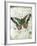 Papillon VI-Ken Hurd-Framed Giclee Print