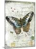 Papillon VI-Ken Hurd-Mounted Giclee Print