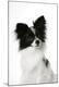 Premium Photographic Print