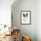 Papillon-null-Framed Photographic Print displayed on a wall