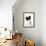 Papillon-null-Framed Photographic Print displayed on a wall