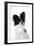 Papillon-null-Framed Photographic Print