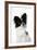 Papillon-null-Framed Photographic Print