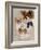 Papillon-Barbara Keith-Framed Giclee Print