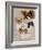 Papillon-Barbara Keith-Framed Giclee Print