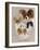 Papillon-Barbara Keith-Framed Giclee Print