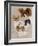 Papillon-Barbara Keith-Framed Giclee Print