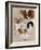 Papillon-Barbara Keith-Framed Giclee Print