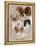 Papillon-Barbara Keith-Framed Premier Image Canvas