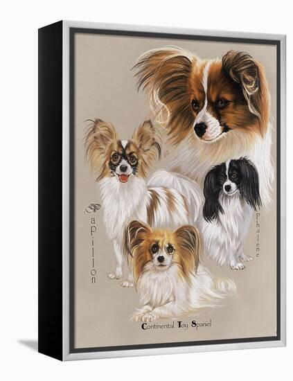 Papillon-Barbara Keith-Framed Premier Image Canvas