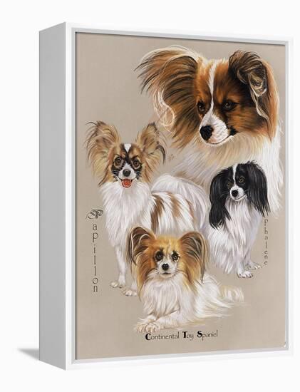 Papillon-Barbara Keith-Framed Premier Image Canvas