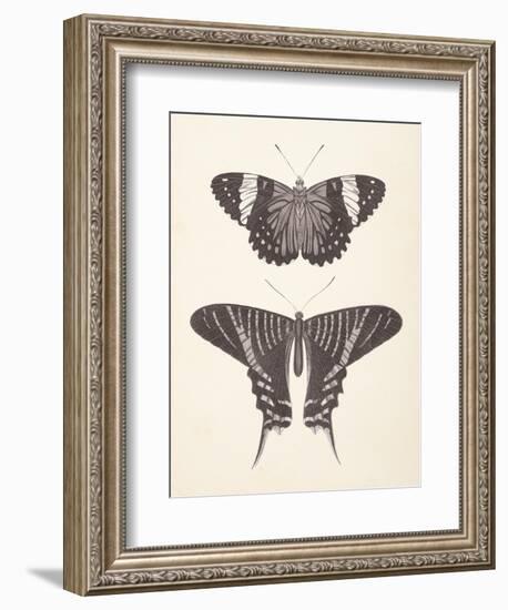 Papillons I Neutral-Wild Apple Portfolio-Framed Art Print