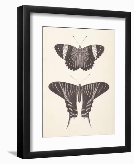 Papillons I Neutral-Wild Apple Portfolio-Framed Art Print