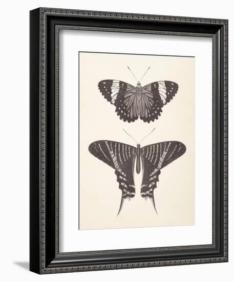 Papillons I Neutral-Wild Apple Portfolio-Framed Art Print