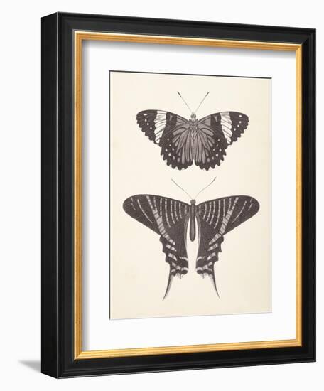 Papillons I Neutral-Wild Apple Portfolio-Framed Art Print