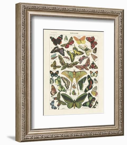 Papillons I-Adolphe Millot-Framed Art Print