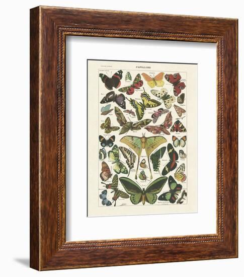 Papillons I-Adolphe Millot-Framed Art Print