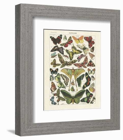 Papillons I-Adolphe Millot-Framed Art Print