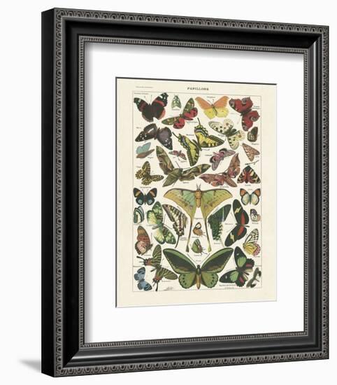 Papillons I-Adolphe Millot-Framed Art Print