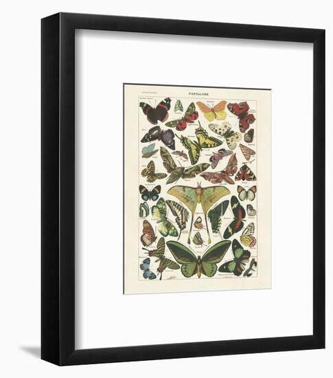 Papillons I-Adolphe Millot-Framed Art Print