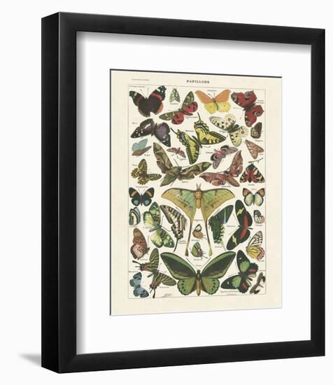 Papillons I-Adolphe Millot-Framed Art Print