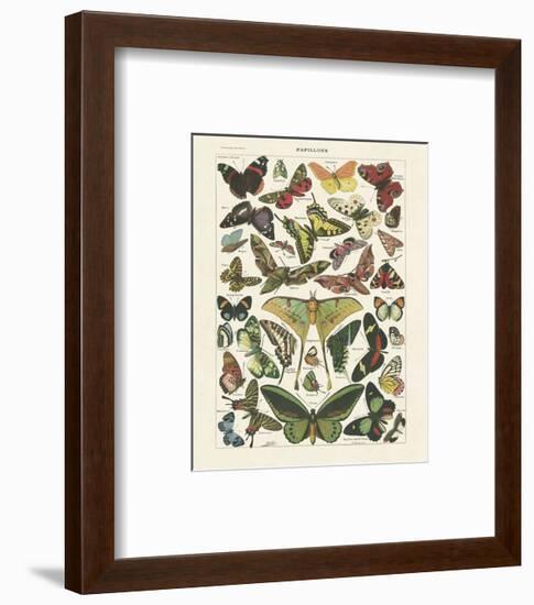 Papillons I-Adolphe Millot-Framed Art Print