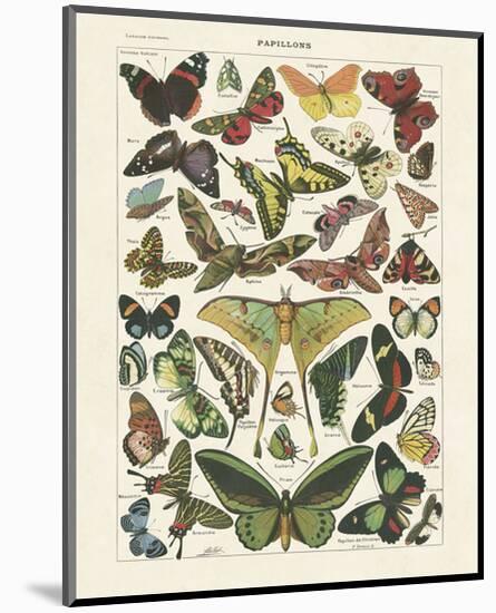 Papillons I-Adolphe Millot-Mounted Art Print