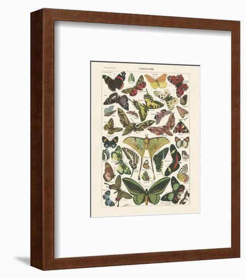 Papillons I-Adolphe Millot-Framed Art Print